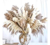 20 fleurs séchées Decora, 10 blanches, 10 pièces marron