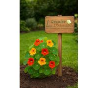 20 graines à semer - Le Grenier d'Abondance - Grande Capucine Glorious Gleam - Tropaeolum majus