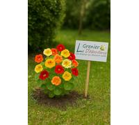 20 graines à semer - Le Grenier d'Abondance - Grande Capucine Whirlybird Mix - Tropaeolum majus