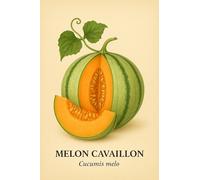 20 graines à semer - Le Grenier d'Abondance - MELON Cavaillon - Cucumis Melo