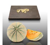 20 graines à semer - Le Grenier d'Abondance - MELON Charentais - Cucumis melo