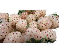 20 graines -ananas blanc Fraises- ***Pineberries***