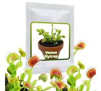 20 Graines Attrappe-mouches de Vénus - Dionaea muscipula/Dionée - plantes carnivores