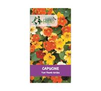 20 graines Capucine Tom Thumb Variés