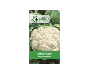 20 GRAINES Chou-fleur 'Blanc des Merveilles' | Variété Rustique d'Hiver à Grosse Pomme Blanche | Semences Haut Rendement | Facile à Cultiver