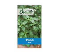20 Graines de Basilic Citron - Basilic Lemon - Ocimum basilicum