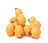 20 graines de fruits fraîches de nèfle