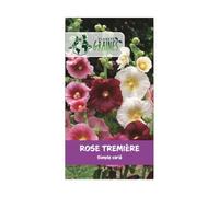20 graines de Rose Tremiere mixtes - Alcea rosea - vivace - - fleurs simple - en mélange