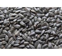 20 kg de graines de tournesol noires nourriture pour oiseaux