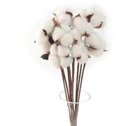 20 Pack Fleurs de Coton Naturelle Fleurs Sechees Tige Fausses Branches Plantes Décoration