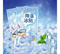 20 Patchs Rafraîchissants - Cooling Patches Gel Patches Cooling Refreshing Cooling (Menthe)
