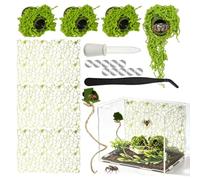 20 Pièce Jumping Spider Accessories 4 Nids 10 Aimants Plate-Forme de Repos | Pipette Pincette Kit d'Accessoires pour Araignées Sauteuses Magnétiques Simple Monter Explorer