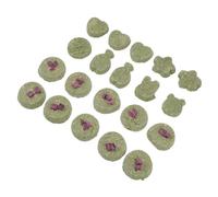 20 Pièces Biscuit à Mâcher pour Lot pour Rongeurs pour Mordre Entretenir Dents Animaux de Compagnie