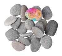 20 Pièces Cailloux à Peindre Naturels, Galets Plats Polis | Bords Arrondis, Surface Finement Polie, Forme Aléatoire, pour Aquariums et Activités DIY Créatives