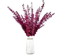 20 Pièces Eucalyptus Seches Naturel Fleurs Séchées Tiges d'Eucalyptus Véritable et conservées de 45cm, pour Composition Florale, Décoration de Mariage la Maison （Rouge）
