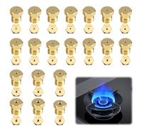20 Pièces Gicleur Gaz Butane Universels, Jeu de Conversion pour GPL, Buses et Injecteurs, Bouteille pour Gazinière, Cuisinière Plaque de Cuisson(0.5-0.65-0.7-0.73-0.87-0.9-0.95-0.97-1.02-1.15-1.35mm)