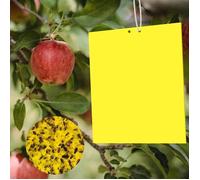 20 Pièces Jaune Mouche Piège Double Face Viscosité Pièges à Insecte Bande Glue Arbre 20*10cm Anti Moucherons Plantes Interieur