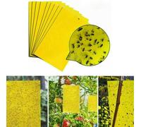 20 pièces pièges à Insecte, pièges adhésifs Double Face Jaunes, moucherons fongiques, moustiques, aleurodes, Autocollants à Mouches, Convient pour Les Plantes et Les Fleurs de Jardin(15x20cm)