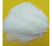20 pièces plumes de faisan coq blanc plume bricolage autruche/dinde/poulet Pluma attrape-rêves accessoires de couture décor mariage-12-18 cm plumes