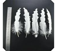 20 pièces plumes de faisan coq blanc plume bricolage autruche/dinde/poulet Pluma attrape-rêves accessoires de couture décor mariage-13-20CM plumes