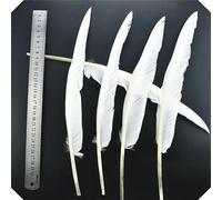 20 pièces plumes de faisan coq blanc plume bricolage autruche/dinde/poulet Pluma attrape-rêves accessoires de couture décor mariage-30-35CM plumes