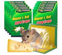 20 pièges à souris/rats à colle forte, arôme colle forte, format 24 x 17 pouces. Piège à insectes collant Flere. ❄Description20x Pièges à souris, rats et rongeurs en papier - Grande taillePiège à coll