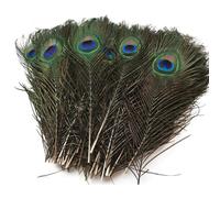 20 Plumes de Paon Naturelles de 25-30cm - Pour DIY, Mariage, Décoration. Belles et Élégantes avec leurs Yeux Écran Vert - Idéales pour Chapeaux et Costumes !