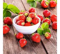 20 serviettes Bol pleine de fraises/Repas/fruits/été 33 x 33 cm
