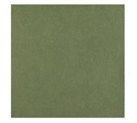 20 SERVIETTES DE TABLE JETABLE INTISSÉES 65GR 40CM OLIVE Vert, Anis, Menthe, Eau