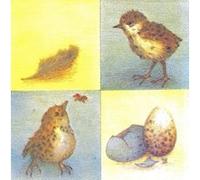 20 serviettes en papier oiseau et oeuf 33x33cm - animaux - serviettage multicolore G