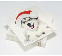 20 Serviettes Husky de Noël en ouate 3plis - 33x33cm