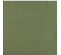 Santex mariage Serviettes Airlaid Rainbow – Sachet de 25, 40 x 40 cm, Vert olive