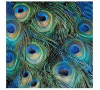 20 serviettes papier plumes de paon 33cm vert - ambiente 13315025 Vert G