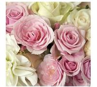 Ambiente - 20 SERVIETTES PAPIER ROSIER MADISON 33CM ROSE