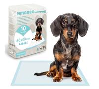 20 tapis éducateurs pour chiots 60x40 cm, maneo pads absorbants pour chiens, alèses anti-fuite 5 couches, tapis pipi pour chiots, chats et animaux, accessoires puppy