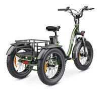 20“Tricycle cargo électrique pliable HIDOES ET1 - 750 W 48 V 20 Ah - Shimano à 7 vitesses-Vert