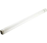Sylvania Lighting – Lumière noire TL-buis