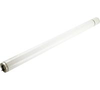 Sylvania Lighting – Lumière noire TL-buis