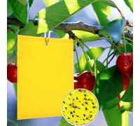 20 X Yellow Double-Sided Fly Insect Trap Cherry Trees Greenhouse And Outdoor,Fungus Gnats,Mosquitoes,Aphids,Whiteflies (15 X 20 Cm).[P143]