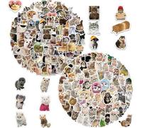 200 Autocollants De Chat, Autocollants De Chat Drôles, Autocollants Photo De Chat, Autocollants D’Expression Mignons, Autocollants De Chat Réalistes, Autocollants De Graffiti De Chat