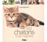 200 chatons trop mignons : Les plus belles photos