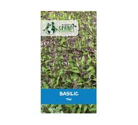 200 Graines Basilic Thaï - Herbe Aromatique Exotique Parfum Anis - Semences Potagères Intérieur et Extérieur