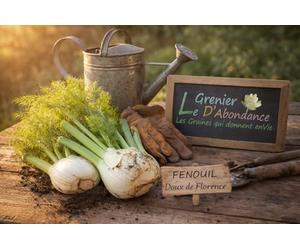 200 graines d'Aromatiques à semer - Le Grenier d'Abondance - FENOUIL Doux de Florence - Foeniculum