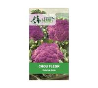 200 graines de chou fleur violet de sicile - RARE - goût sucré et savoureux