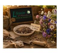 200 graines de Fleurs à semer - Le Grenier d'Abondance - FLEURS SAUVAGES en mélange - Annuelles et vivaces