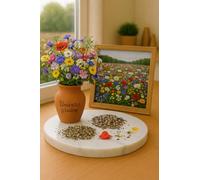 200 Graines de Fleurs - Mélanges spécial PAPILLON POLLINISATEURS - Mix de 30 Variétés - Fleur Jardin - 455