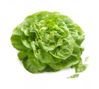 200 Graines De Laitue De Printemps