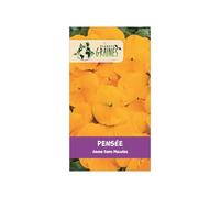 200 graines de pensée jaune - viola wittrockiana - fleur comestible éclatante pour massifs et balcons