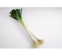 200 Graines de Poireau - Allium porrum - Mostruoso di Carentan 2 - Long et épais - Légume Jardin - 375