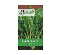 200 graines de poirée verte a couper - Bette - facile a cultiver